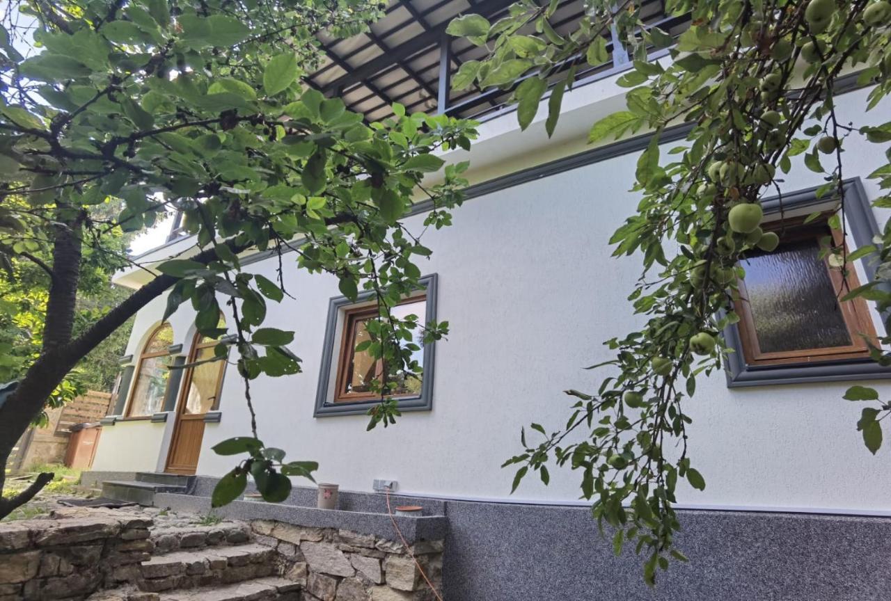 Отель Vila Zia Корбени Экстерьер фото
