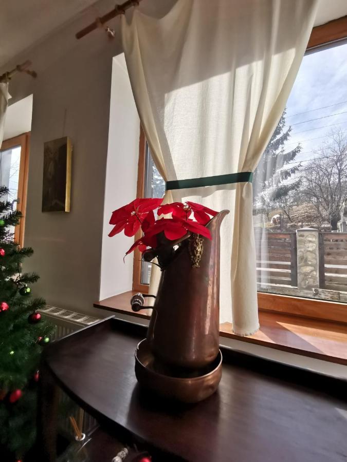 Отель Vila Zia Корбени Экстерьер фото